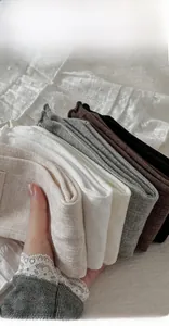Gros plan détaillé de chaussettes en coton côtelé montrant la texture en six couleurs