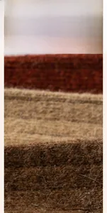 Detail of wool fabric showing brown, beige, and brick red stripes with soft texture
