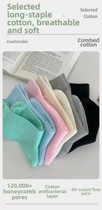 Detailed macro shot of six colorful combed long-staple cotton socks with breathable mesh