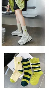 Detailansicht grüner gestreifter Baumwollsocken mit Gänseblümchen-Stickerei und Rippbündchen