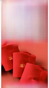 Detail of red cotton socks with gold embroidery and 10A grade antibacterial data