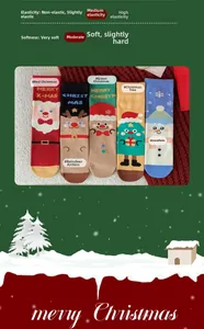 Detail showing five pairs of Christmas socks with Santa, reindeer, and gingerbread motifs