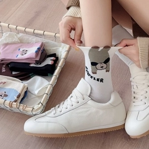 Mid-cut cotton socks with cute cartoon puppy design and Acceler lettering in various colors