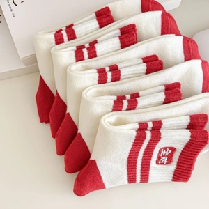 Vue détaillée de chaussettes en coton rayées rouge et blanc avec motifs brodés