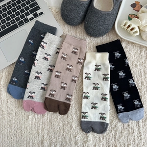Détail de cinq paires de chaussettes tabi à motif chien en couleurs variées sur tapis