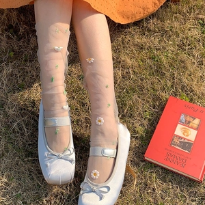 Detail of sheer mesh socks with white daisy embroidery paired with Mary Jane shoes