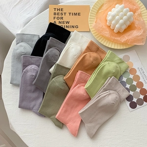 Colorful mid-calf cotton socks collection arranged in a fan shape on a clean white surface