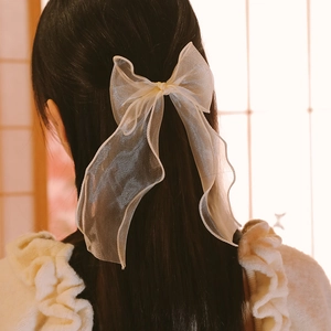Détail d'un nœud papillon élégant en organza champagne avec de longs rubans fins