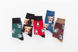 Detail of five-pair colorful cotton socks set featuring various cartoon dog breed patterns