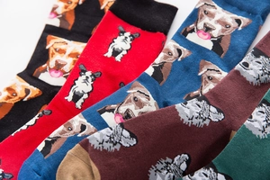 Detail of colorful dog breed patterned crew socks in black, red, blue, brown, and green