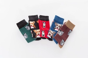 Set of five colorful mid-calf cotton socks with detailed dog breed patterns and ribbed cuffs