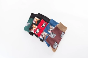 Detail of five-pair colorful cotton crew socks featuring realistic dog breed patterns