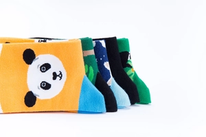 Set of five colorful cotton socks with cute panda and nature patterns in various colors