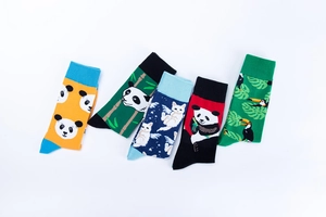 Detail of five colorful cotton socks featuring panda and toucan cartoon patterns