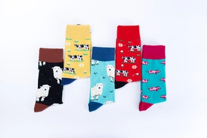 Detailansicht von fünf bunten Socken mit Cartoon-Bauernhoftieren auf weißem Hintergrund