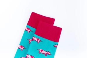 Detailansicht türkisfarbener Baumwollsocken mit rosa Schweinemuster und roten Bündchen