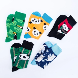 Five pairs of colorful cotton socks with panda and bird patterns for autumn and winter