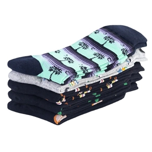 Set of colorful cotton crew socks featuring palm tree patterns and striped athletic designs