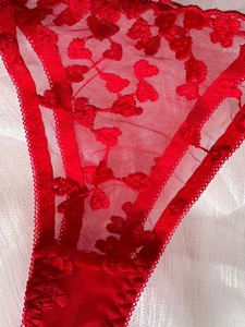 Détail de culotte en dentelle rouge avec broderie cœur et mesh semi-transparent