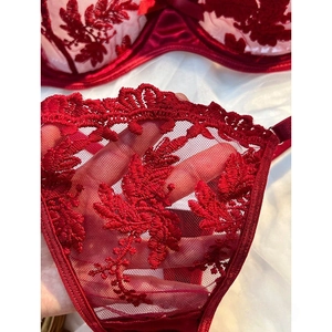 Red floral lace lingerie set with sheer embroidery and satin trim for women