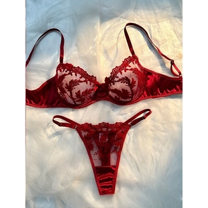 Detail of red lace embroidery and satin texture on the sexy French style bra and thong set
