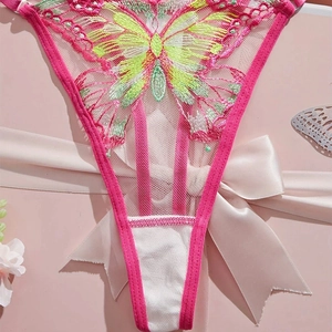 Macro view of butterfly embroidery on sheer mesh lingerie in vibrant pink and green