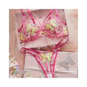 Detail of pink mesh lingerie set featuring gradient butterfly embroidery in a gift box