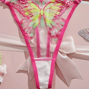 Pink mesh lingerie thong featuring butterfly embroidery with vibrant pink and green threads