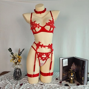 Red sheer floral embroidery lingerie set with open cups and garter belt on a display