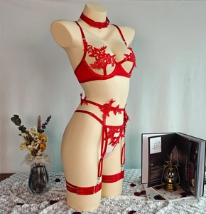 Detailed close-up of red floral lace embroidery on the sheer mesh lingerie set