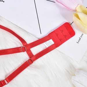 Macro shot of red velvet lingerie back closure with adjustable straps and silver metal buckles