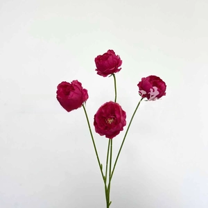 Macro detail of artificial magenta peony with four heads and yellow stamens on white base