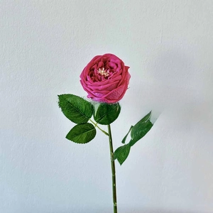 Close-up of deep magenta artificial Austin rose with multi-layered silk petals and green leaves