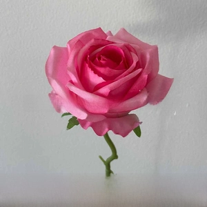 Detailed view of artificial pink rose with 50cm stem height and 10cm flower head