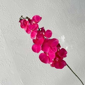 Detailed macro shot of vibrant magenta artificial orchid petals with natural textures