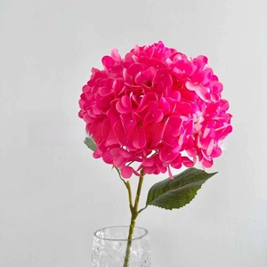Close-up of vibrant magenta artificial hydrangea with green leaf in glass vase