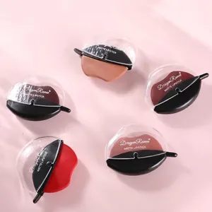 Five-color matte lipstick set with unique lip-shaped design for easy application