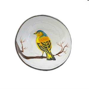Detail of handcrafted coconut shell bowl featuring a yellow bird painted on white coating