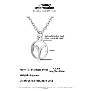 Detail view of Aries zodiac sign pendant showing stainless steel finish and dimensions