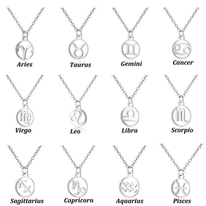 Retro stainless steel necklace set with 12 zodiac constellation pendants on white background