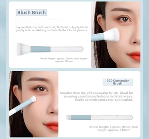 Detail of blue stippling blush brush and small concealer brush for precise makeup application