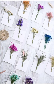 Close-up of assorted dried flower greeting cards on a white wooden background with pens