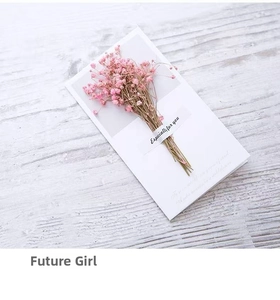Close-up of pink dried Gypsophila flowers on a minimalist white card for gift greetings