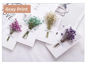 Flat lay of colorful dried gypsophila flower bouquets on greeting cards with English blessings