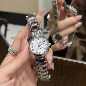 Detailed view of silver steel watch featuring Roman numerals and blue leaf hands