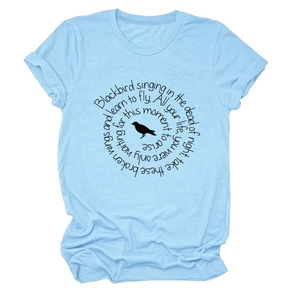 Detailed view of light blue crew neck T-shirt with bird silhouette and lyrics print