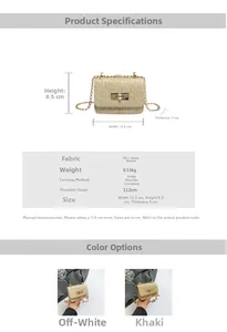 Detailed size chart for woven straw chain bag showing dimensions and crossbody strap length
