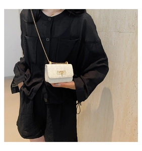 Detail of a creamy white woven straw mini bag with a golden chain and twist lock clasp
