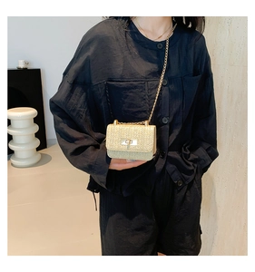 Detail of woven straw mini bag featuring golden turn-lock closure and elegant chain strap
