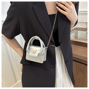 Silver mini ballet style handbag with butterfly metal buckle and slim gold chain strap